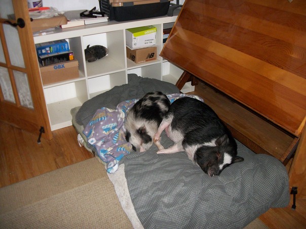 Deixe-me saber se o seu curso na cozinha