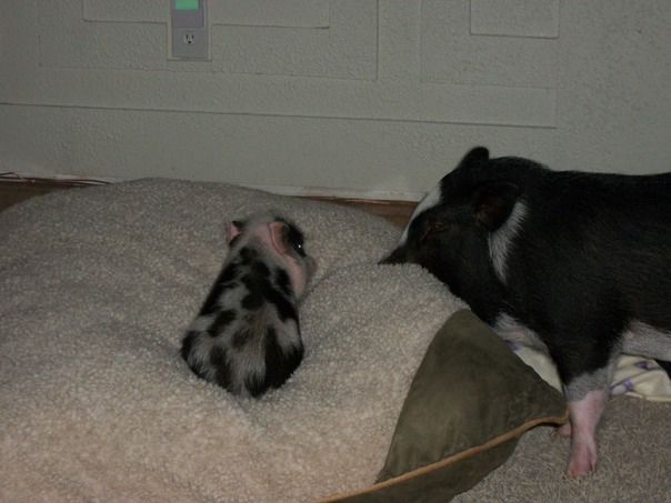 N�o h� espa�o suficiente para voc� tamb�m